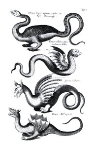 Four types of dragon  